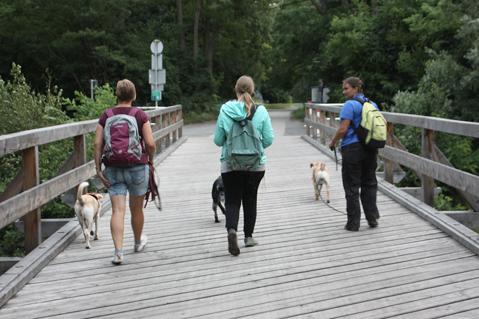 Social Walks