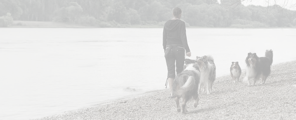 Bettina Meidlinger mit ihren Hunden