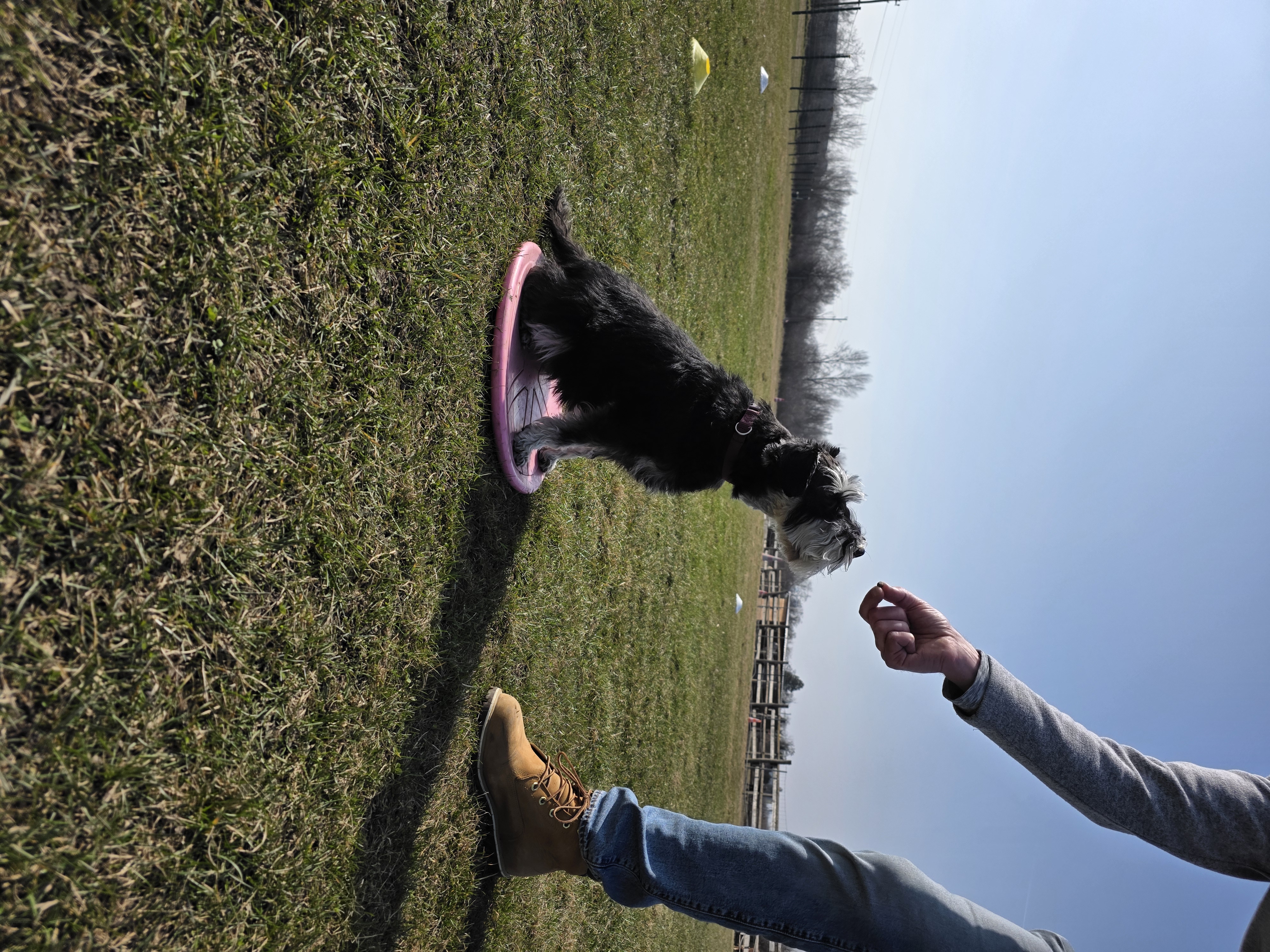Einzeltraining mit Hund