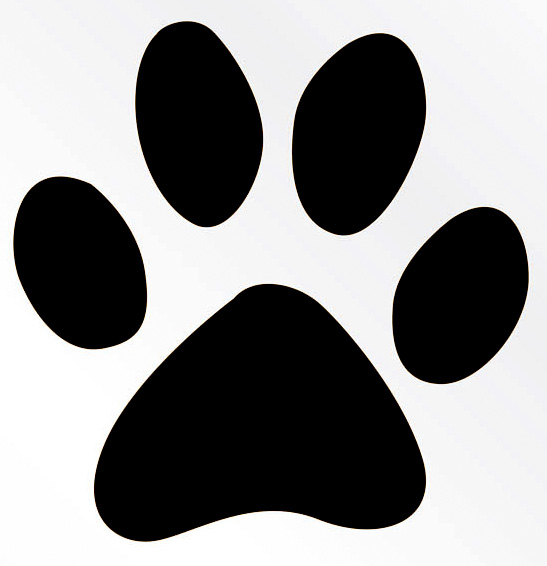 Hundeschule Wuffologisch